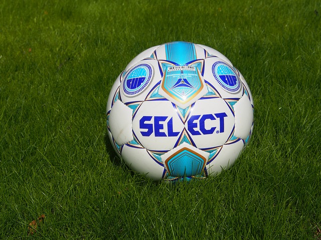 硬的专业素 硬的专业素