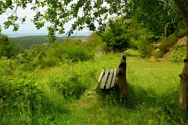 我们或许正 我们或许正