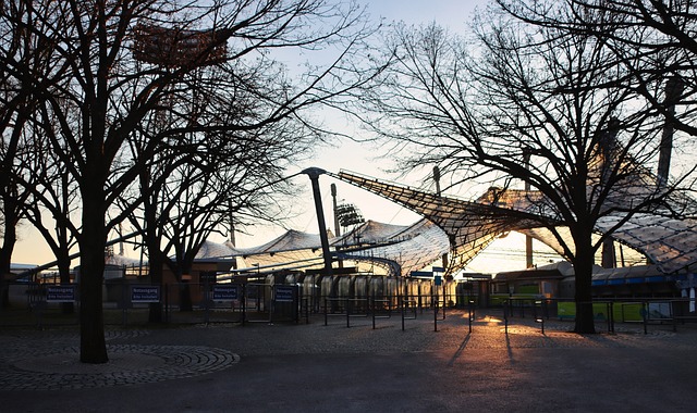 斑比之名的 斑比之名的