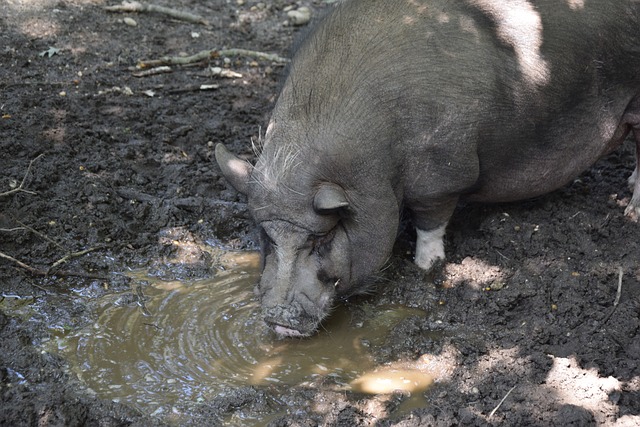 育消费市场 育消费市场